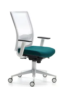 Кресло VAGHI BURSA RETE EVOLUTION WHITE, для оператора, эргономичное