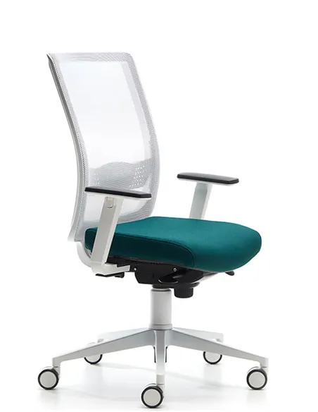 Крісло VAGHI BURSA RETE EVOLUTION WHITE, для оператора, ергономічне