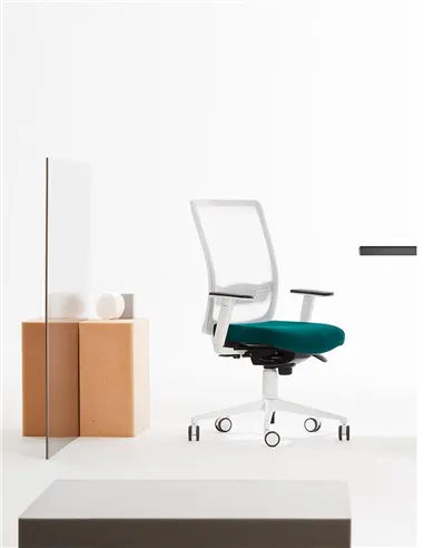 Крісло VAGHI BURSA RETE EVOLUTION WHITE, для оператора, ергономічне