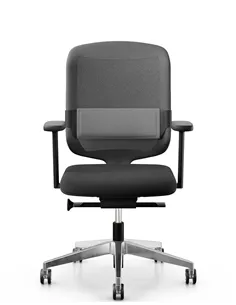 Крісло GIROFLEX 434-4019 MEDIUM BACK, ергономічне