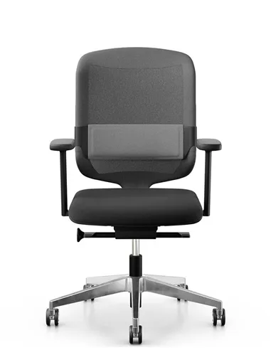 Крісло GIROFLEX 434-4019 MEDIUM BACK, ергономічне