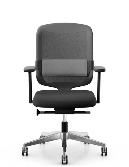 Крісло GIROFLEX 434-4019 MEDIUM BACK, ергономічне