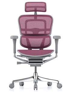 Крісло ERGOHUMAN ELITE 2 (EHE2-AG-HAM-5D-L, сітка T-168-B5 Pink), ергономічне