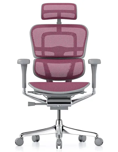 Крісло ERGOHUMAN ELITE 2 (EHE2-AG-HAM-5D-L, сітка T-168-B5 Pink), ергономічне