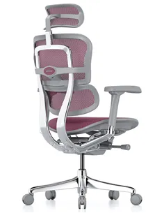 Крісло ERGOHUMAN ELITE 2 (EHE2-AG-HAM-5D-L, сітка T-168-B5 Pink), ергономічне 2