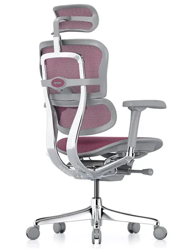 Крісло ERGOHUMAN ELITE 2 (EHE2-AG-HAM-5D-L, сітка T-168-B5 Pink), ергономічне
