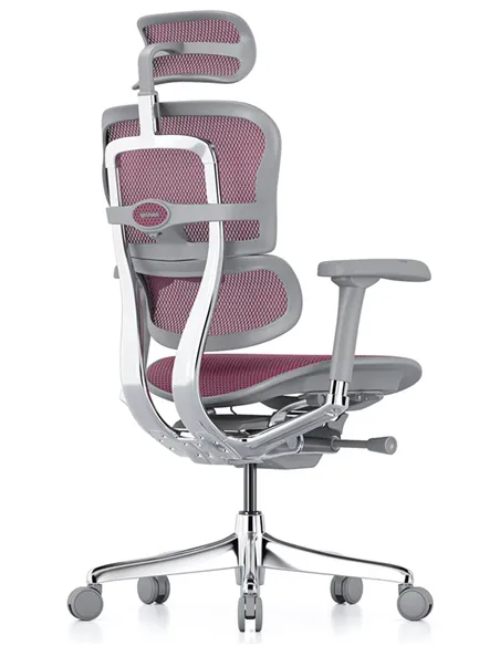 Крісло ERGOHUMAN ELITE 2 (EHE2-AG-HAM-5D-L, сітка T-168-B5 Pink), ергономічне
