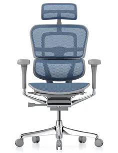 Крісло ERGOHUMAN ELITE 2 (EHE2-AG-HAM-5D-L, сітка T-168-B4 Cobalt), ергономічне