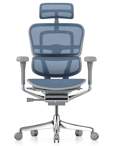 Крісло ERGOHUMAN ELITE 2 (EHE2-AG-HAM-5D-L, сітка T-168-B4 Cobalt), ергономічне