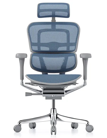 Крісло ERGOHUMAN ELITE 2 (EHE2-AG-HAM-5D-L, сітка T-168-B4 Cobalt), ергономічне