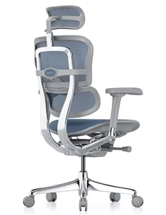 Крісло ERGOHUMAN ELITE 2 (EHE2-AG-HAM-5D-L, сітка T-168-B4 Cobalt), ергономічне 2