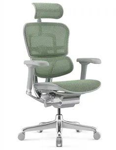 Крісло ERGOHUMAN ELITE 2 (EHE2-AG-HAM-5D-L, сітка T-168-B6 Green), ергономічне