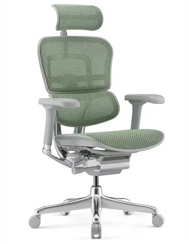 Кресло ERGOHUMAN ELITE 2 (EHE2-AG-HAM-5D-L, сетка T-168-B6 Green), эргономичное