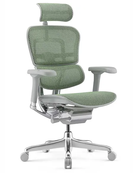 Кресло ERGOHUMAN ELITE 2 (EHE2-AG-HAM-5D-L, сетка T-168-B6 Green), эргономичное