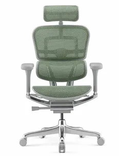 Крісло ERGOHUMAN ELITE 2 (EHE2-AG-HAM-5D-L, сітка T-168-B6 Green), ергономічне 2