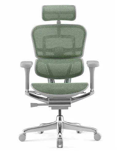 Кресло ERGOHUMAN ELITE 2 (EHE2-AG-HAM-5D-L, сетка T-168-B6 Green), эргономичное