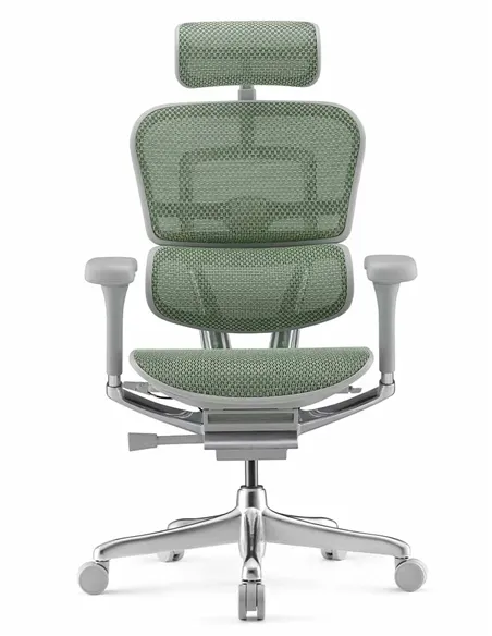 Кресло ERGOHUMAN ELITE 2 (EHE2-AG-HAM-5D-L, сетка T-168-B6 Green), эргономичное