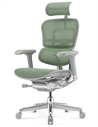 Кресло ERGOHUMAN ELITE 2 (EHE2-AG-HAM-5D-L, сетка T-168-B6 Green), эргономичное