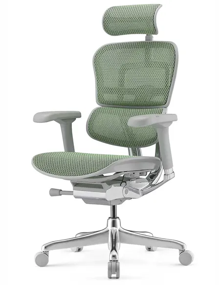 Кресло ERGOHUMAN ELITE 2 (EHE2-AG-HAM-5D-L, сетка T-168-B6 Green), эргономичное