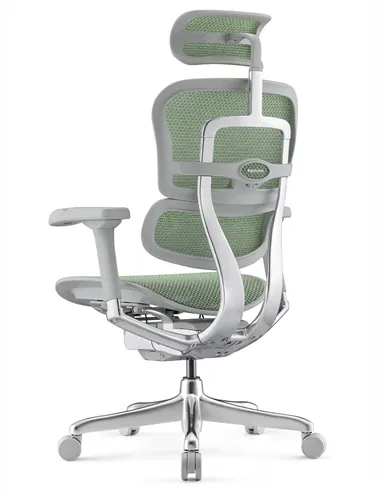 Кресло ERGOHUMAN ELITE 2 (EHE2-AG-HAM-5D-L, сетка T-168-B6 Green), эргономичное