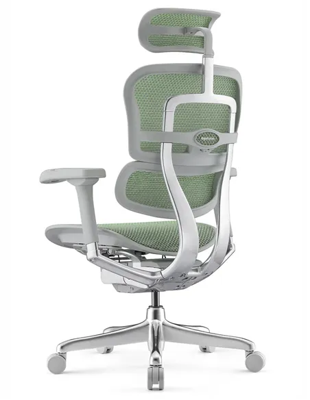 Кресло ERGOHUMAN ELITE 2 (EHE2-AG-HAM-5D-L, сетка T-168-B6 Green), эргономичное