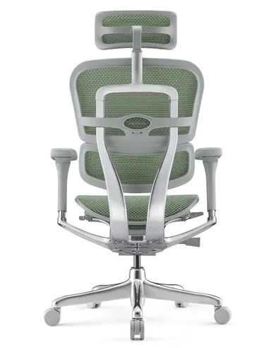 Кресло ERGOHUMAN ELITE 2 (EHE2-AG-HAM-5D-L, сетка T-168-B6 Green), эргономичное
