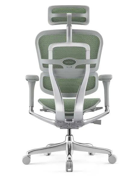 Кресло ERGOHUMAN ELITE 2 (EHE2-AG-HAM-5D-L, сетка T-168-B6 Green), эргономичное