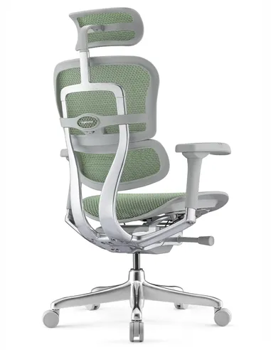 Кресло ERGOHUMAN ELITE 2 (EHE2-AG-HAM-5D-L, сетка T-168-B6 Green), эргономичное
