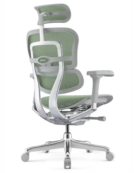 Кресло ERGOHUMAN ELITE 2 (EHE2-AG-HAM-5D-L, сетка T-168-B6 Green), эргономичное