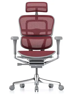 Крісло ERGOHUMAN ELITE 2 (EHE2-AG-HAM-5D-L, сітка T-168-B3 Scarlet), ергономічне