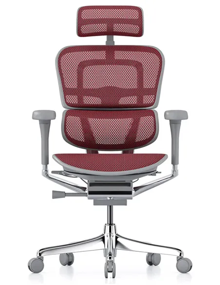 Крісло ERGOHUMAN ELITE 2 (EHE2-AG-HAM-5D-L, сітка T-168-B3 Scarlet), ергономічне