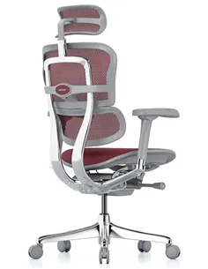Крісло ERGOHUMAN ELITE 2 (EHE2-AG-HAM-5D-L, сітка T-168-B3 Scarlet), ергономічне 2