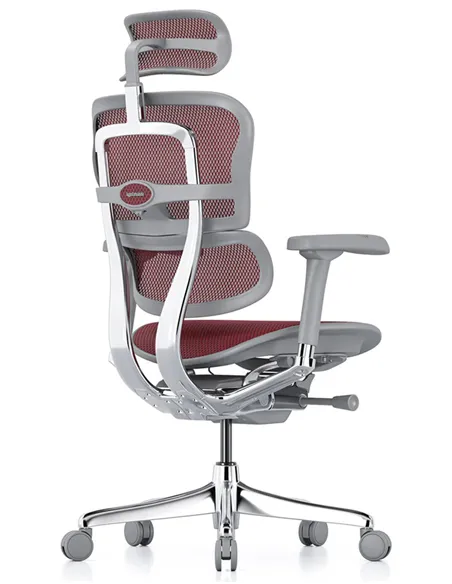 Крісло ERGOHUMAN ELITE 2 (EHE2-AG-HAM-5D-L, сітка T-168-B3 Scarlet), ергономічне