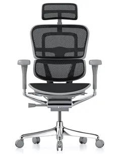 Крісло ERGOHUMAN ELITE 2 (EHE2-AG-HAM-5D-L, сітка T-168-B1 Black), ергономічне