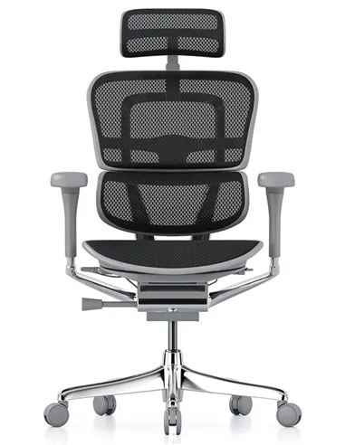 Крісло ERGOHUMAN ELITE 2 (EHE2-AG-HAM-5D-L, сітка T-168-B1 Black), ергономічне