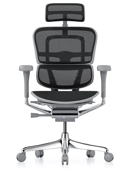 Крісло ERGOHUMAN ELITE 2 (EHE2-AG-HAM-5D-L, сітка T-168-B1 Black), ергономічне