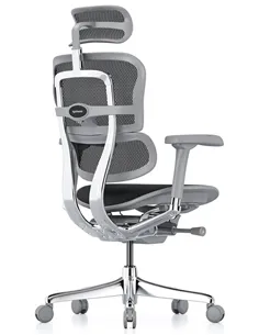 Крісло ERGOHUMAN ELITE 2 (EHE2-AG-HAM-5D-L, сітка T-168-B1 Black), ергономічне 2