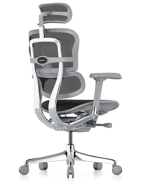 Крісло ERGOHUMAN ELITE 2 (EHE2-AG-HAM-5D-L, сітка T-168-B1 Black), ергономічне