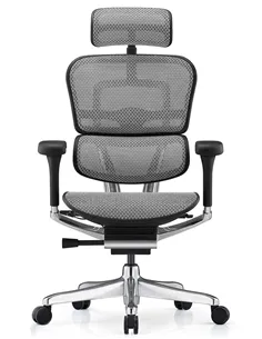 Крісло ERGOHUMAN LUXURY 2 (EHL2-AB-HAM-5D-L, сітка Т-168-B2 Natural), ергономічне