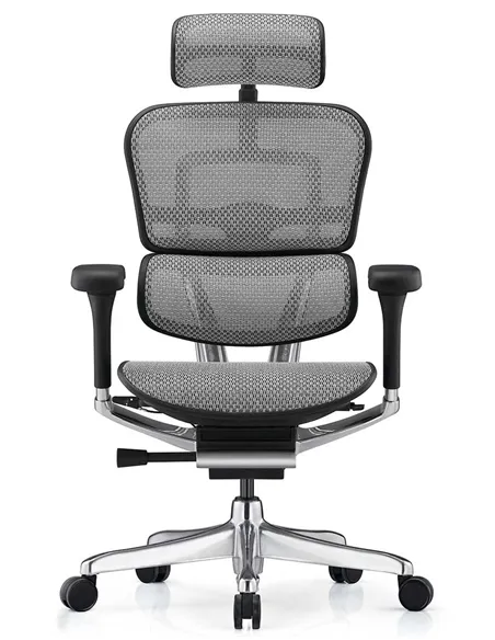 Крісло ERGOHUMAN LUXURY 2 (EHL2-AB-HAM-5D-L, сітка Т-168-B2 Natural), ергономічне