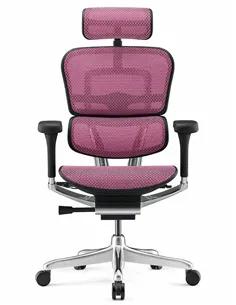 Кресло ERGOHUMAN LUXURY 2 (EHL2-AB-HAM-5D-L, сетка Т-168-B5 Pink), эргономичное
