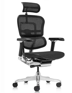 Крісло ERGOHUMAN LUXURY 2 (EHL2-AB-HAM-5D-L, сітка Т-168-B1 Black), ергономічне