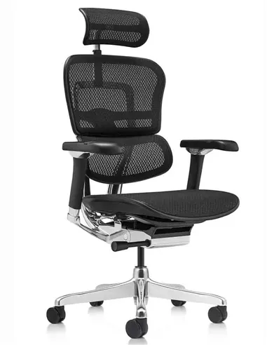 Кресло ERGOHUMAN LUXURY 2 (EHL2-AB-HAM-5D-L, сетка Т-168-B1 Black), эргономичное
