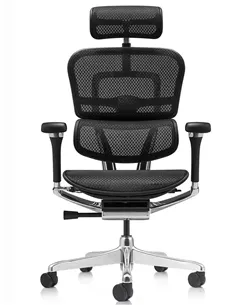 Крісло ERGOHUMAN LUXURY 2 (EHL2-AB-HAM-5D-L, сітка Т-168-B1 Black), ергономічне 2