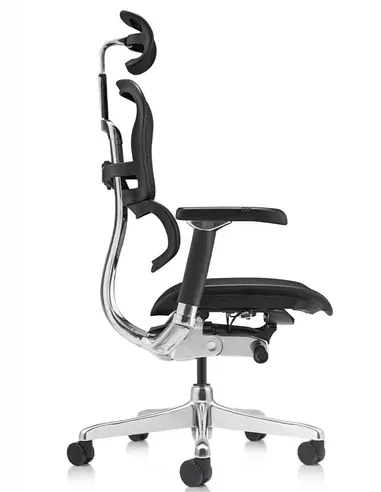 Кресло ERGOHUMAN LUXURY 2 (EHL2-AB-HAM-5D-L, сетка Т-168-B1 Black), эргономичное