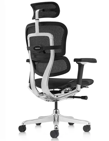 Кресло ERGOHUMAN LUXURY 2 (EHL2-AB-HAM-5D-L, сетка Т-168-B1 Black), эргономичное