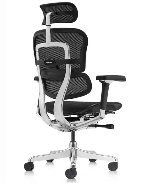 Кресло ERGOHUMAN LUXURY 2 (EHL2-AB-HAM-5D-L, сетка Т-168-B1 Black), эргономичное