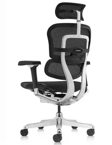Кресло ERGOHUMAN LUXURY 2 (EHL2-AB-HAM-5D-L, сетка Т-168-B1 Black), эргономичное