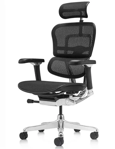 Кресло ERGOHUMAN LUXURY 2 (EHL2-AB-HAM-5D-L, сетка Т-168-B1 Black), эргономичное