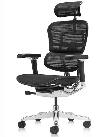 Кресло ERGOHUMAN LUXURY 2 (EHL2-AB-HAM-5D-L, сетка Т-168-B1 Black), эргономичное